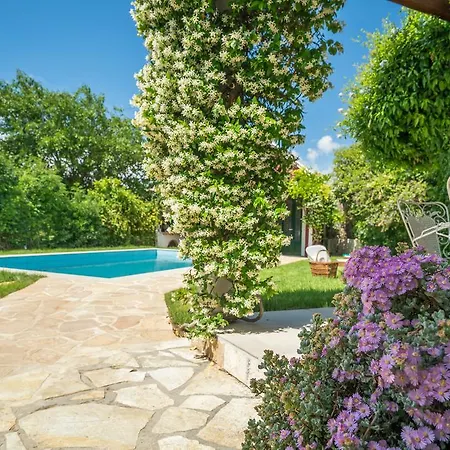 Averto Luxury Mansion Villa